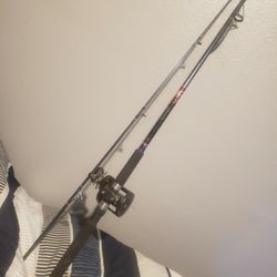 Fishing Pole   Never Used  This One. Really Nice 