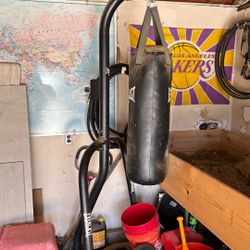 Everlast Heavy Bag 