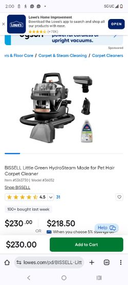 Bissell Steam Cleaner