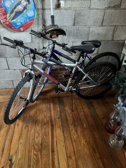 Roadmaster Mt Fury Bikes