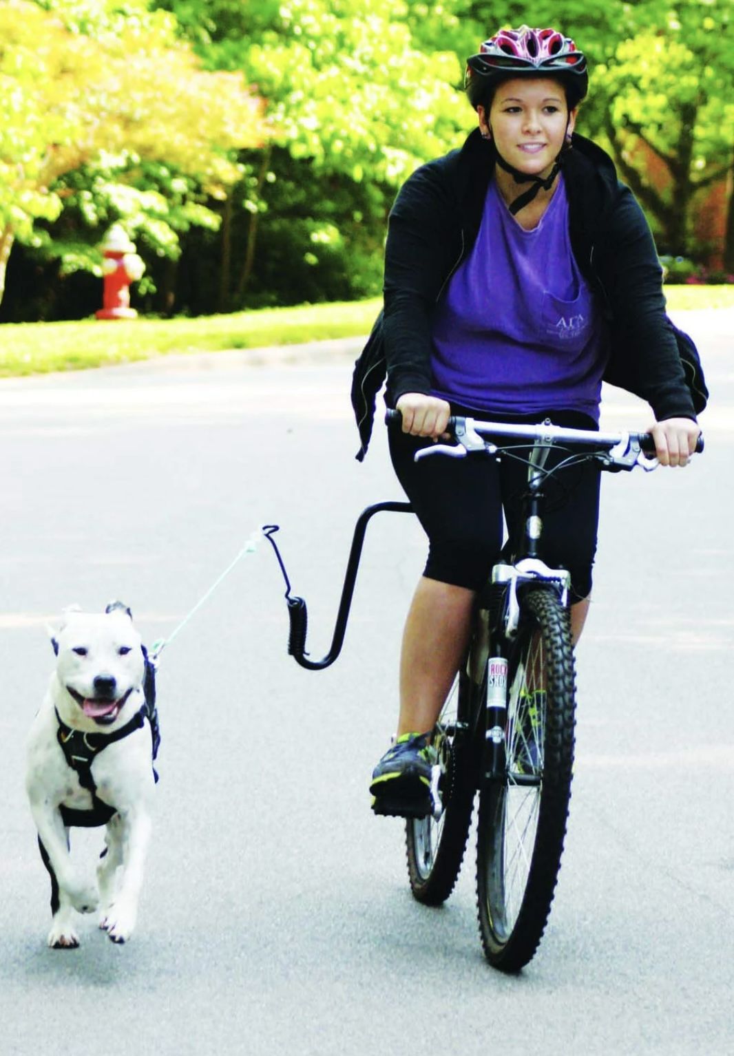 Hands Free Bicycle Dog Exerciser