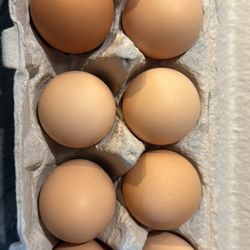  Eggs