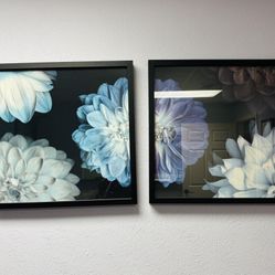 26x26  Frames 