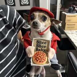 Halloween Dog Costumes Clothes Outfits