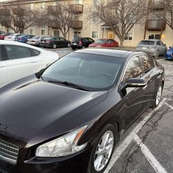 2010 Nissan Maxima