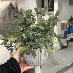 Artificial Small Plant 