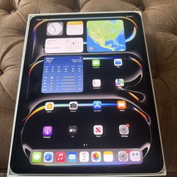 iPad Pro 13" 2024 Model M4 Chip Grey 256 Gb WiFi + Cellular Fully Unlocked 