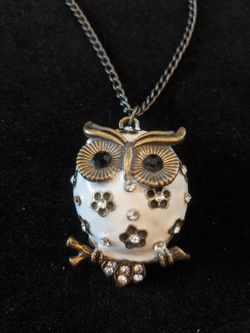 $10. Owl necklace pendant. Necklace is 28 in. 1.75 in long and 1.25-in wide.