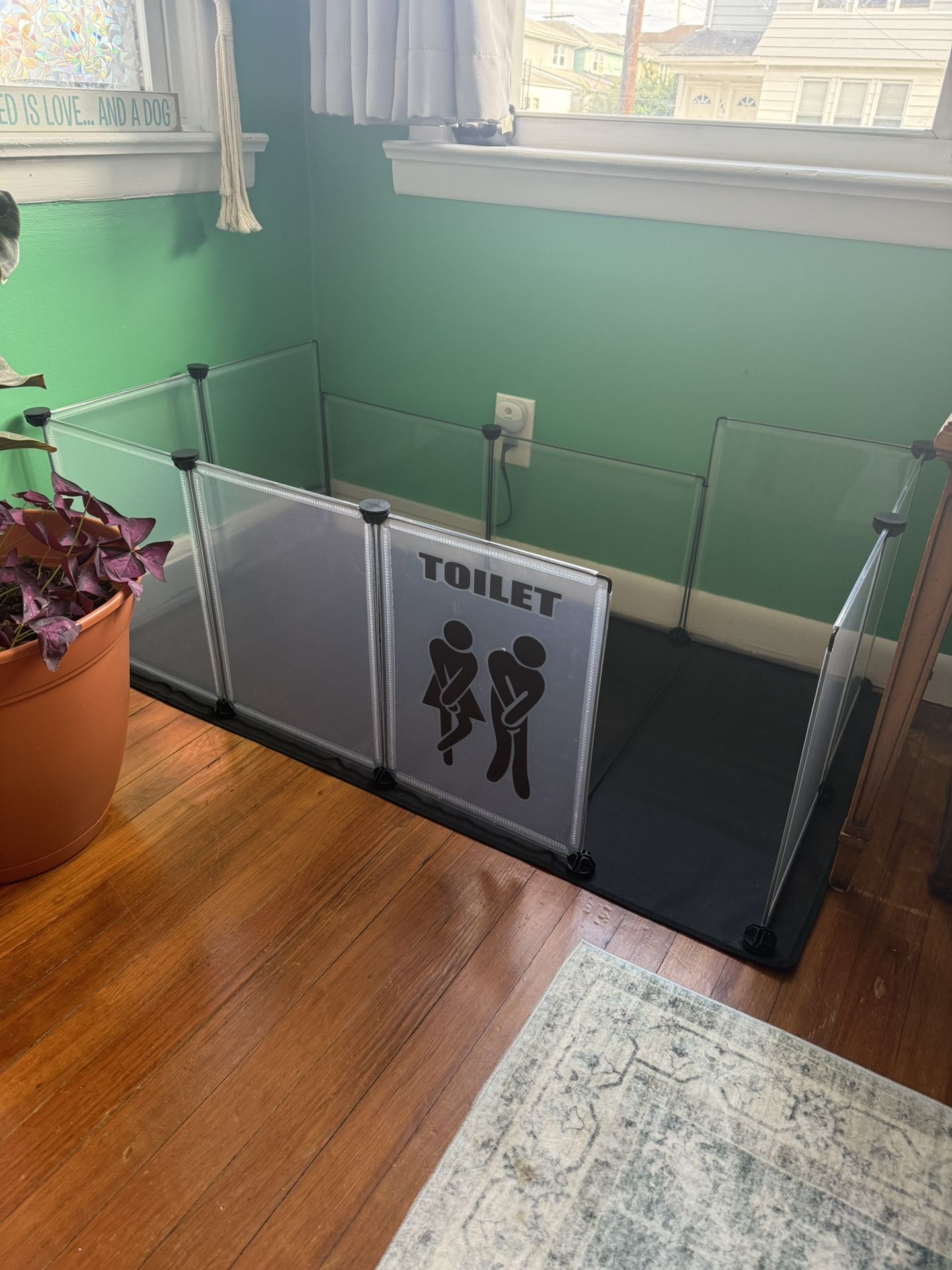 Dog Potty 