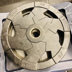 Bolt Steel 45LB Plate Weights 