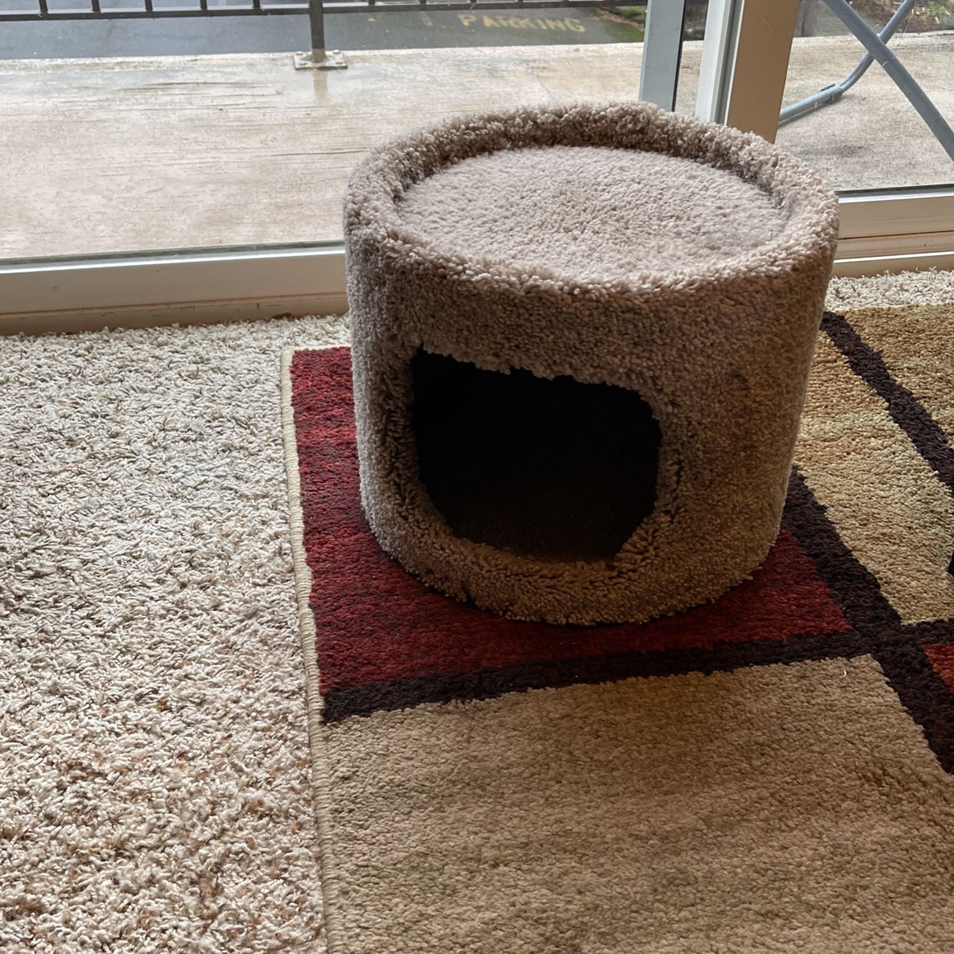 Cat Bed