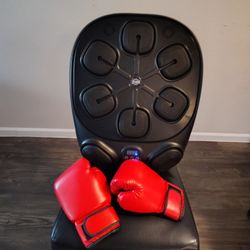 Boxing Practice Machine