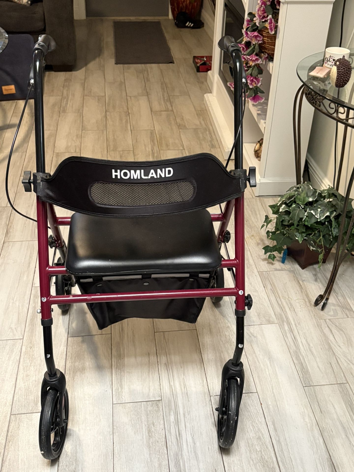 Homland Sturdy Walker