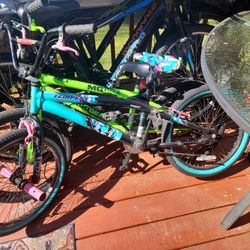 Two Kids Bicycles, used  $ 40 or better offer, Still in good use,, 