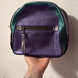 Coach Backpack
