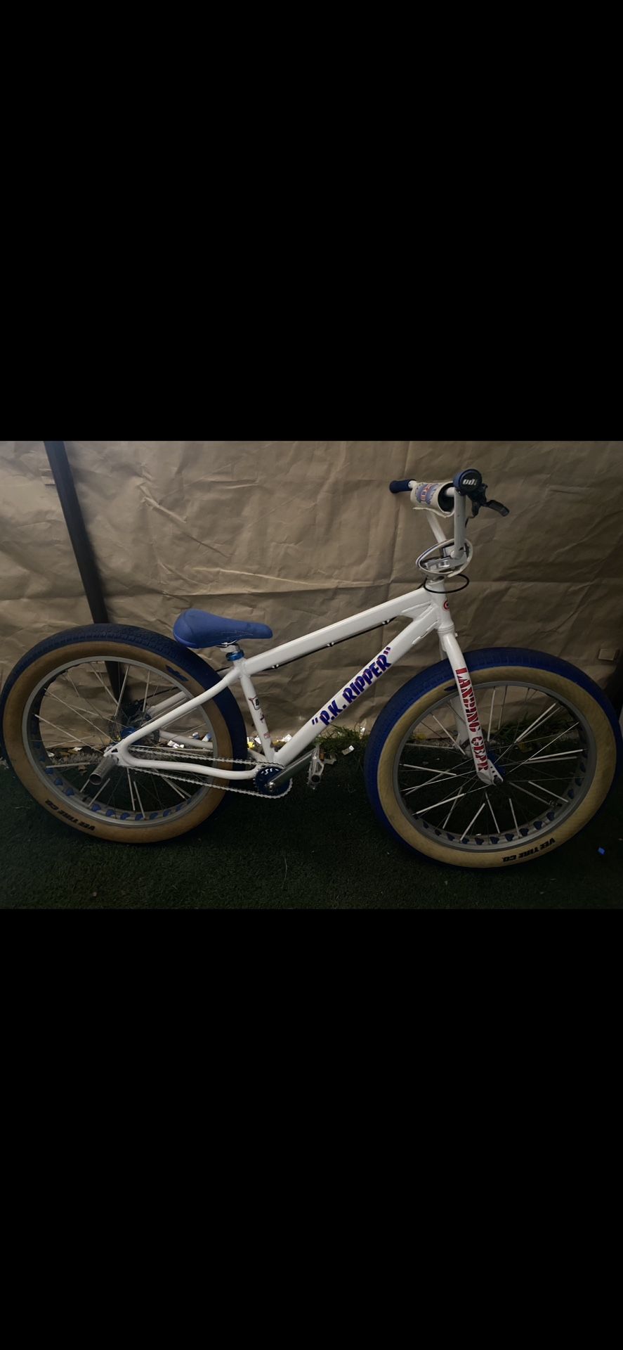 2017 P.K. Ripper 40th anniversary 