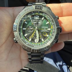 Stainless Steel Citizen Promaster Watch