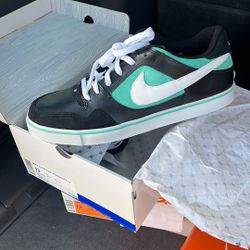 Nike Zoom Paul Rodriguez 2.5