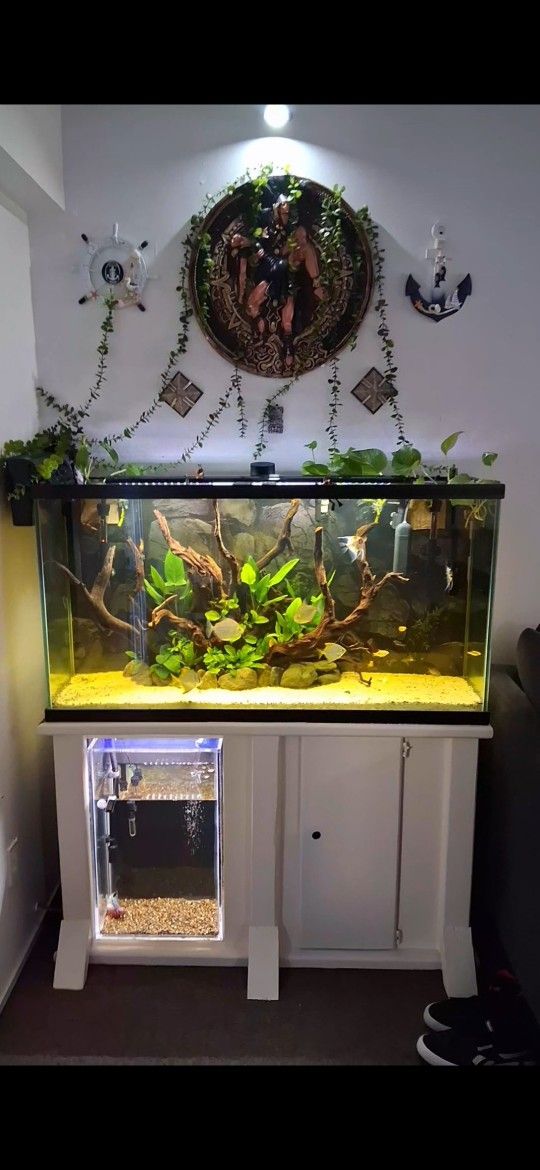 Fish Tank