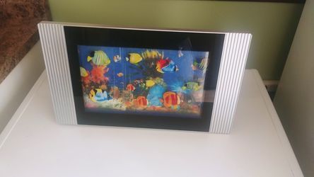 Wall hang aquarium