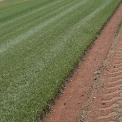 Sod Installation 