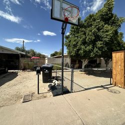 Basketball Hoop 