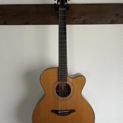 Furch Guitar