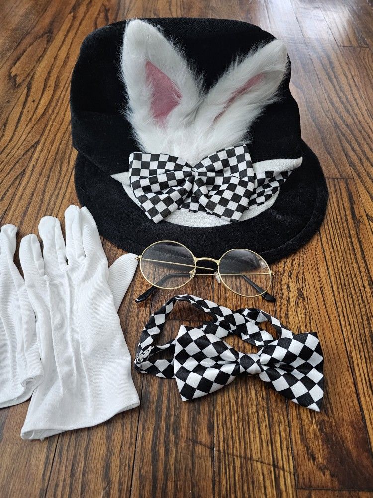 White Rabbit Costume Set of 4