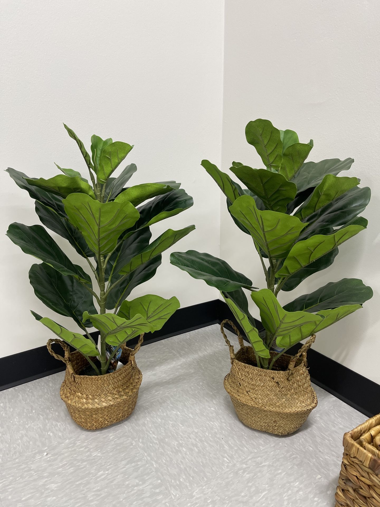 Artificial Fiddle Leaf Fig Plants 30 Inch Fake Ficus Lyrata Tree With 21 Leaves in Pot and Woven Seagrass Belly Basket Perfect Faux Plant for Home Ind