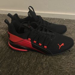 Red And Black Pumas