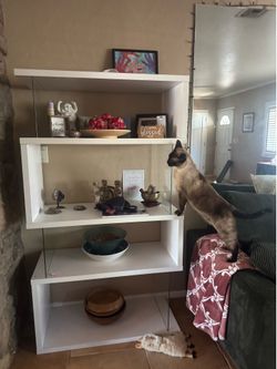 Modern bookcase with glass ends