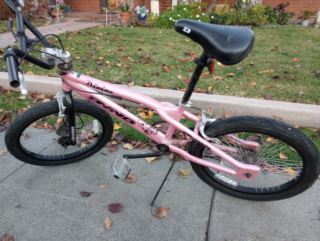 Dyno, 20, Divine Model