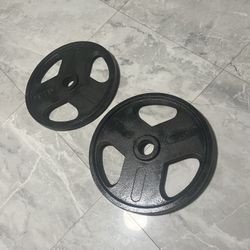 Pair Of 45lb Olympic Weights Plates Total 90lb