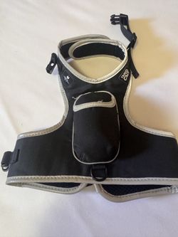 Video game Stray- cat harness