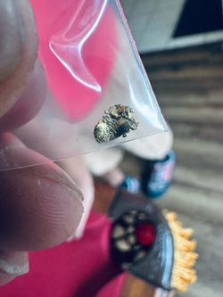 Small Raw Gold Nugget Specimen