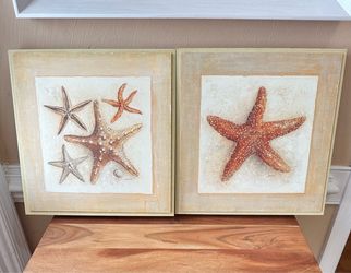 Seashell wall art