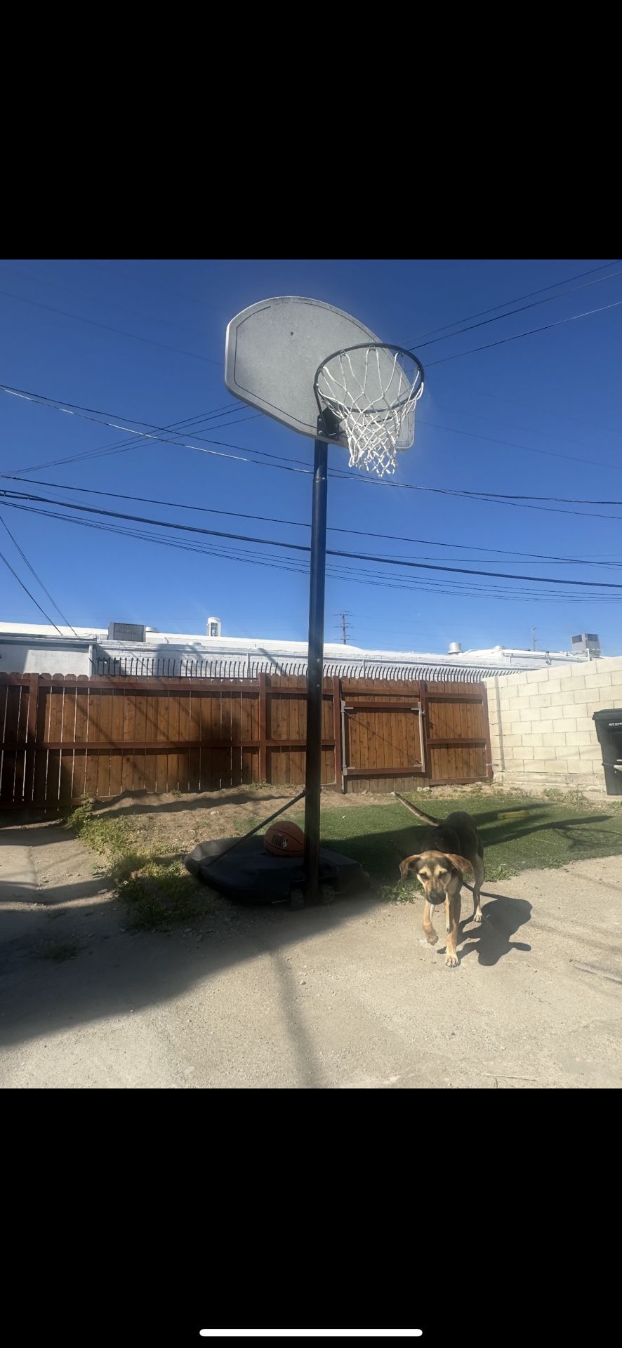 Basketball Hoop
