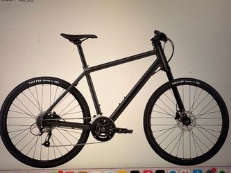 Cannondale Bad Boy 2