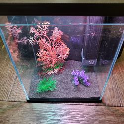 Glass Micro Aquarium 