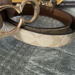 Womens Coach Belt
