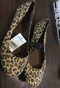 Cheetah Flats