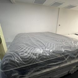 Cama