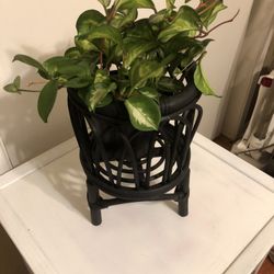 Plant Stand Black Retro Rattan