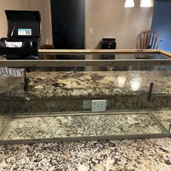 Fish tank