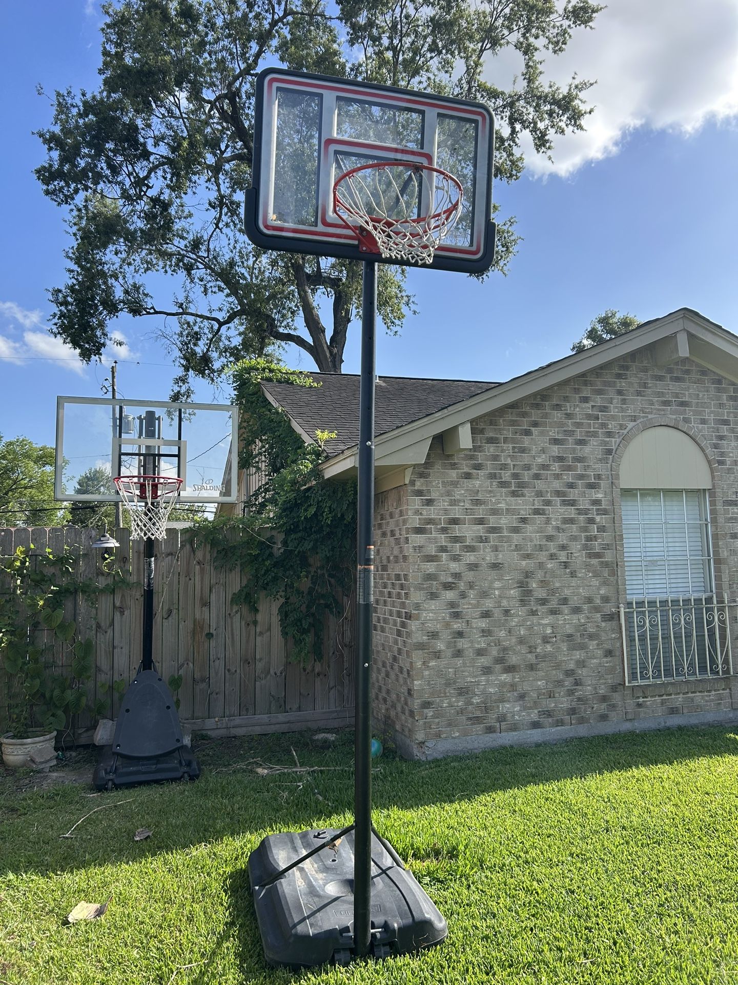 Lifetime Basketball Hoop