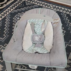 Baby Bouncer 