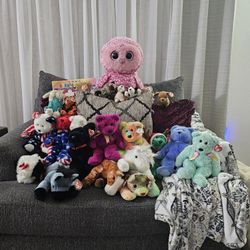 Beanie Baby And Buddies For Sale