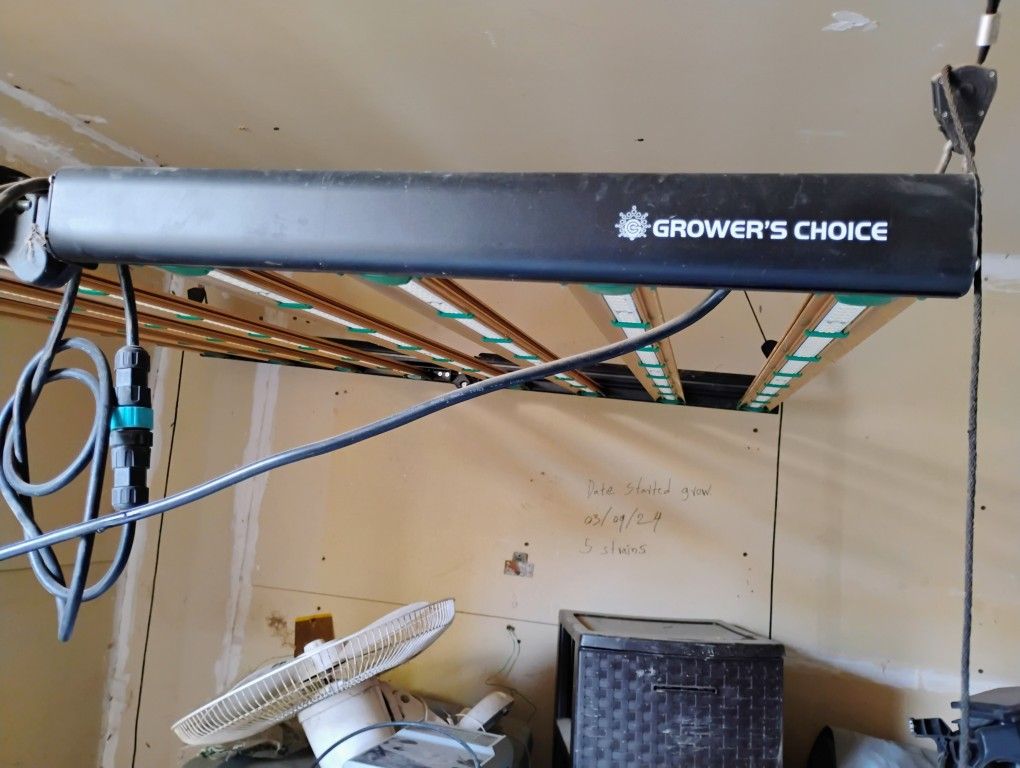 Growers Choice Led Light.