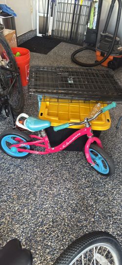 Schwinn Balance Bike