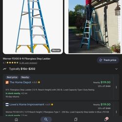 8ft Werner Ladder 